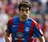 Jedinak image